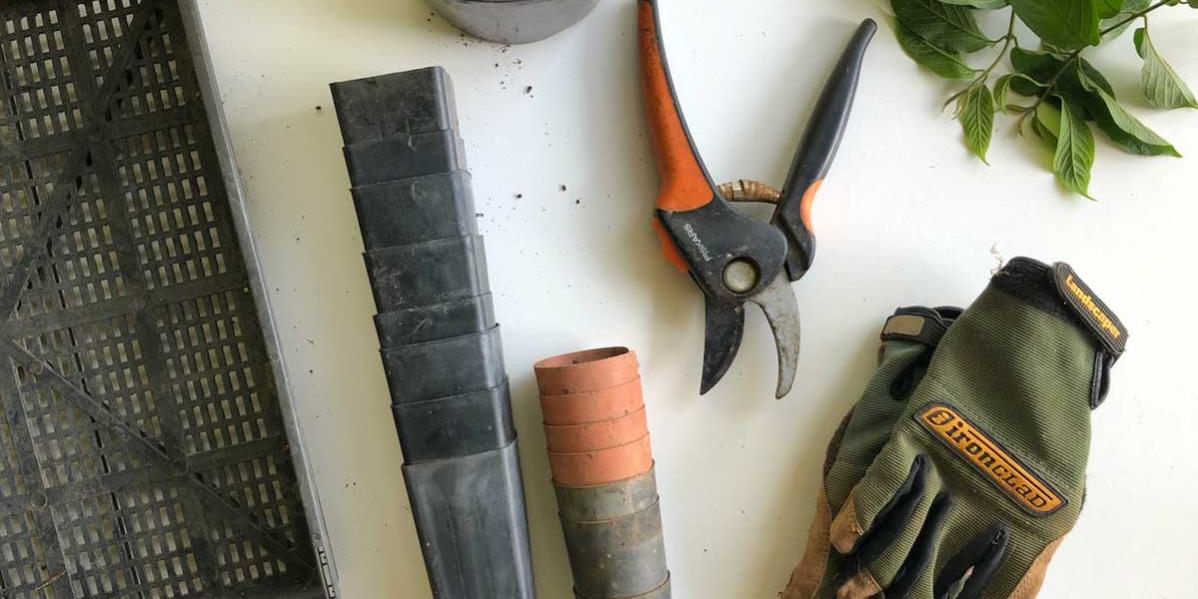 Building and Grounds | MGAHS